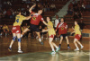 90 Jahre Handball in der Steiermark-90 Jahre Handball in der Steiermark (39)-Steirischer Handballverband