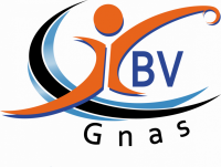 logo hbv gnas.png