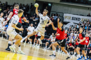 Weltklassehandball in Graz - Zebras kommen wieder nach Graz-Steirischer Handballverband